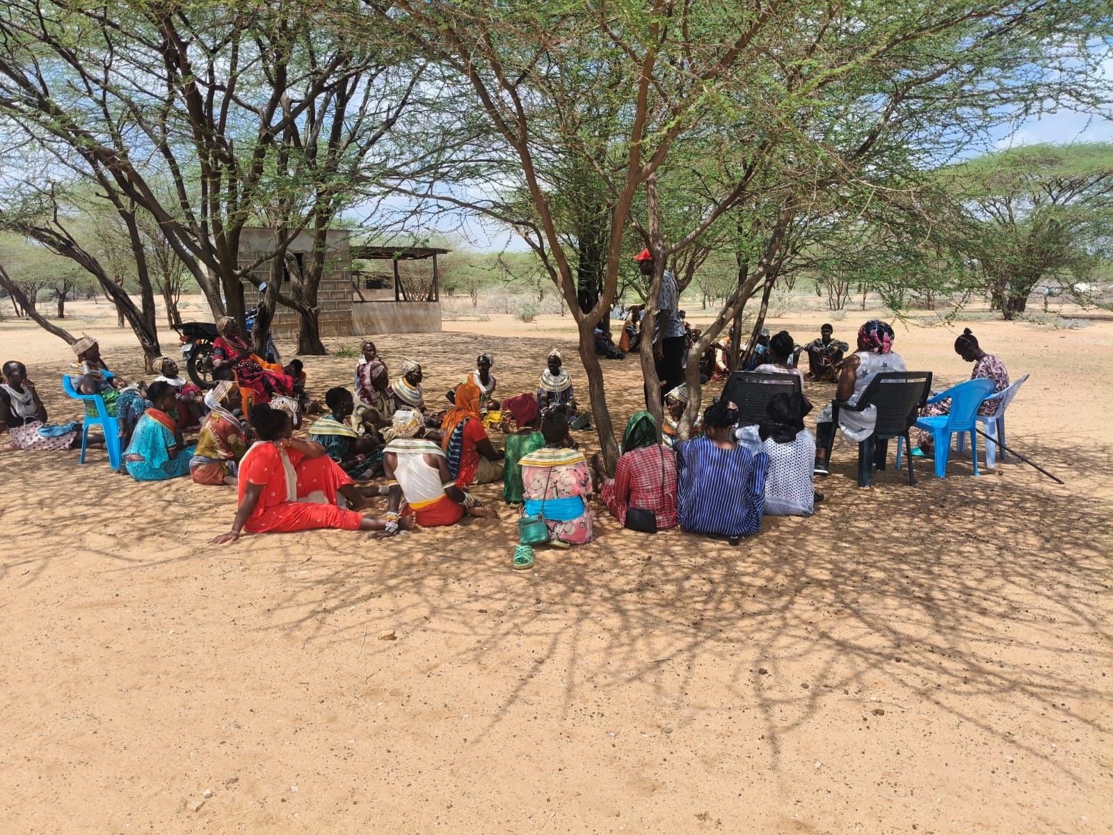 Women's circle meeting under acacia trees