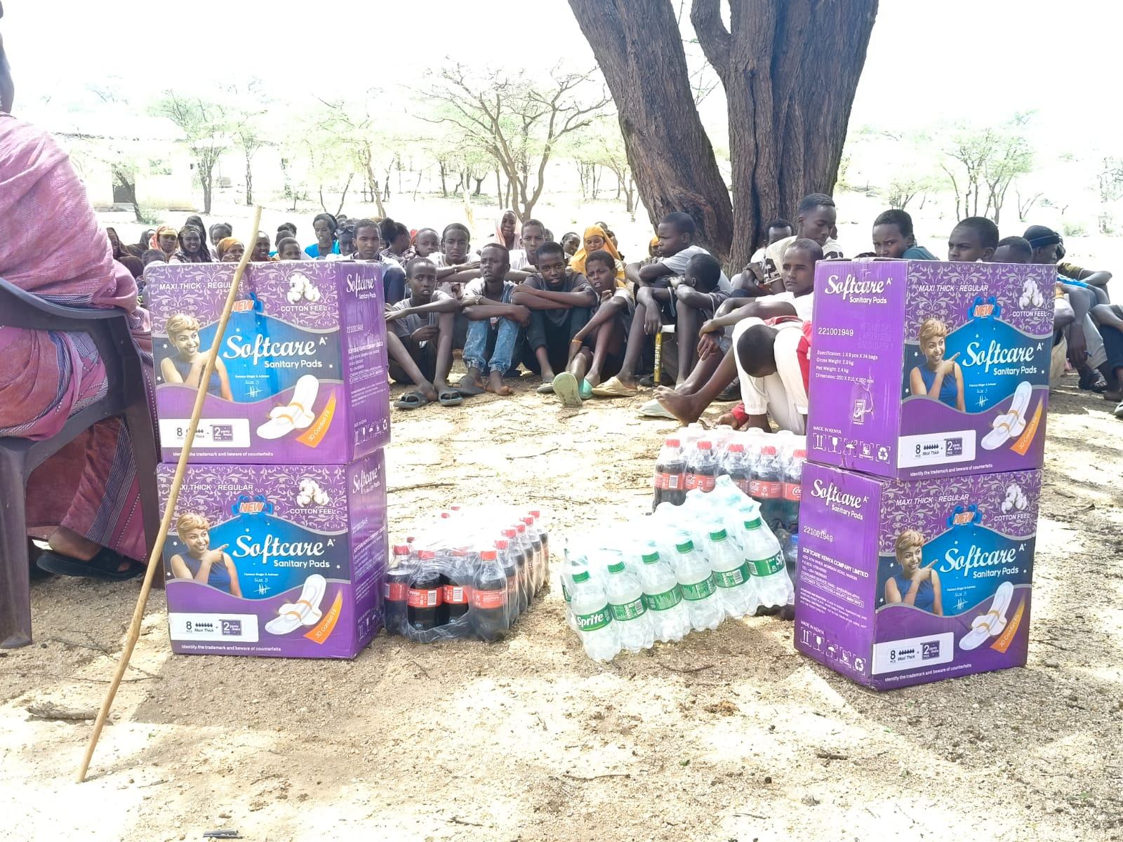 Sanitary pad distribution to girls